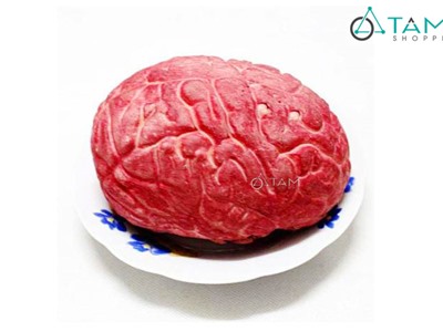 Bộ não người giả trang trí